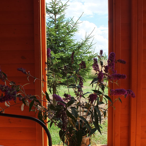 Larkspur 8x8 Corner Summerhouse 12mm Shiplap