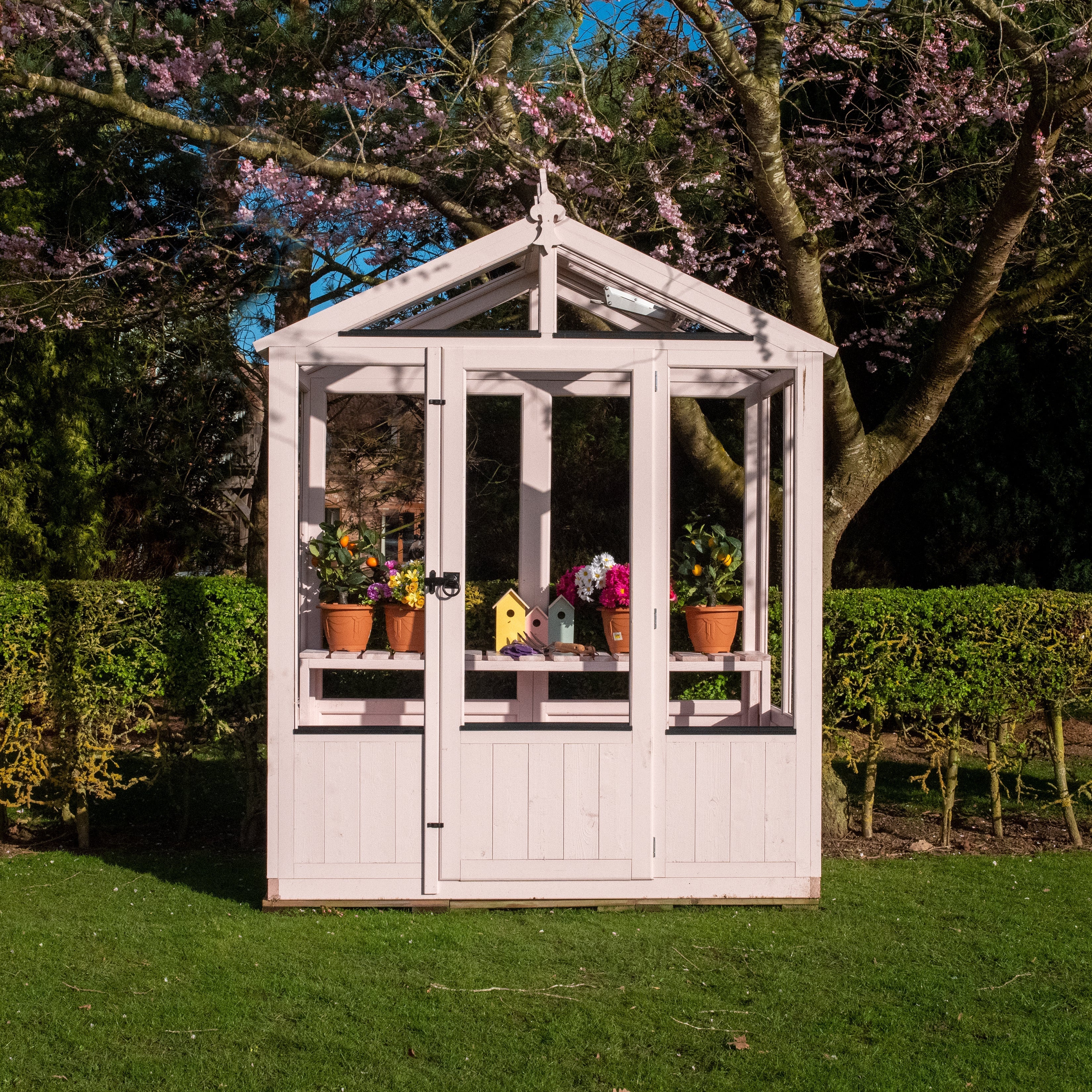 Shire Holkham 6x4 Greenhouse - Best Shed
