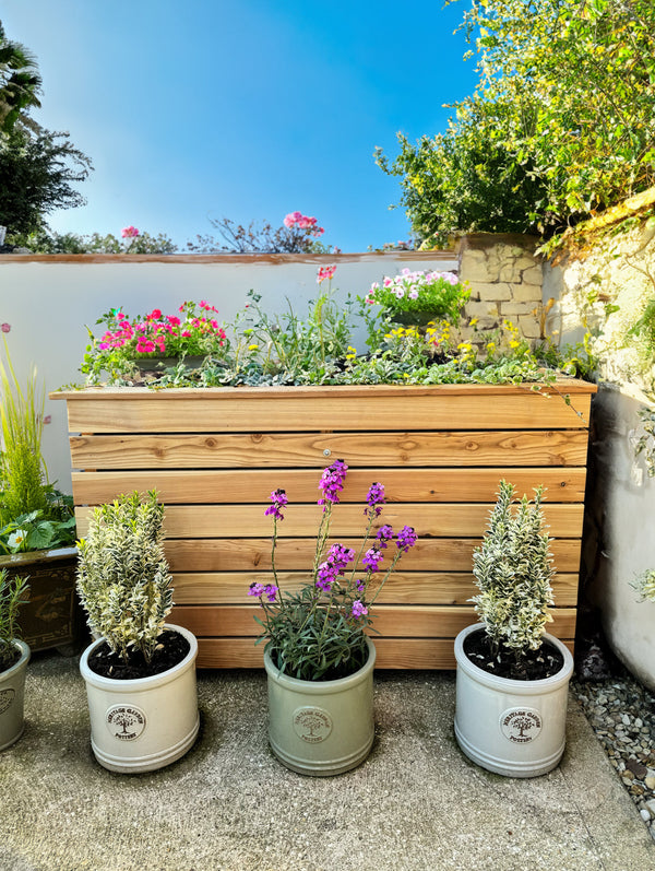 Marta Larch Planter - Best Shed