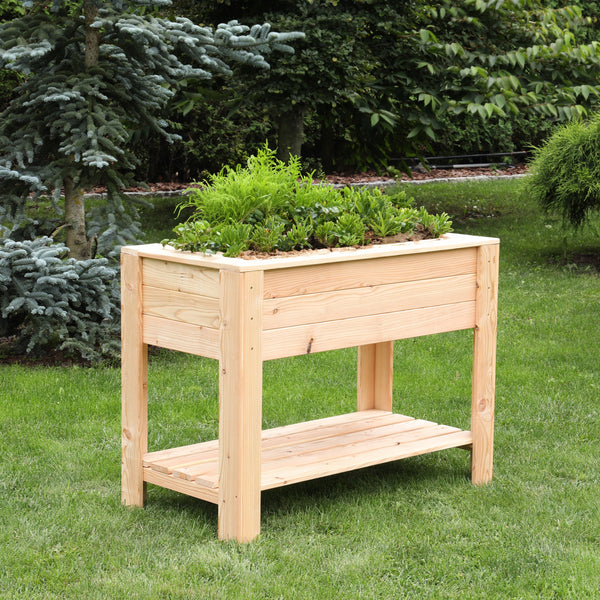 Dan Larch Planter