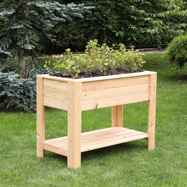 Dan Larch Planter