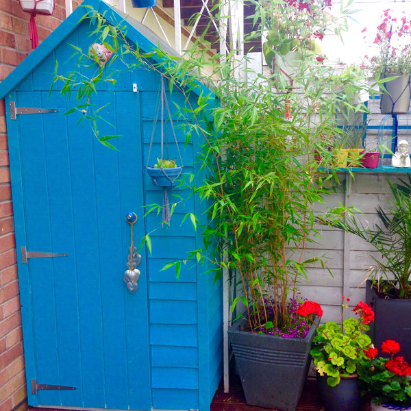 Shire Tool Garden Store Overlap 3x2 - Best Shed